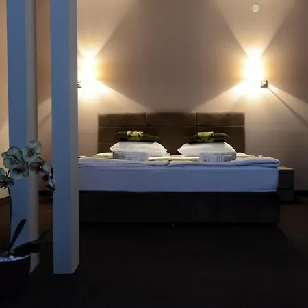 Panzió Pasina Cesma