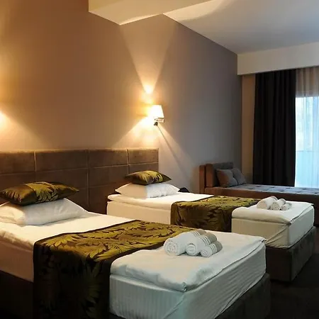 Panzió Pasina Cesma