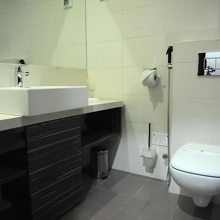 Panzió Pasina Cesma